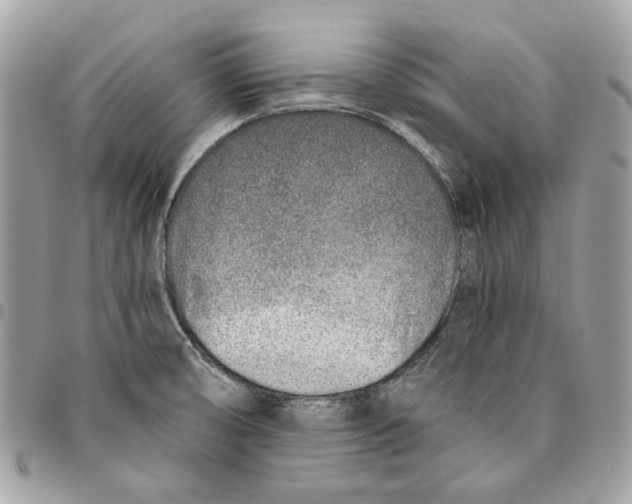 X0000096151474200802081400