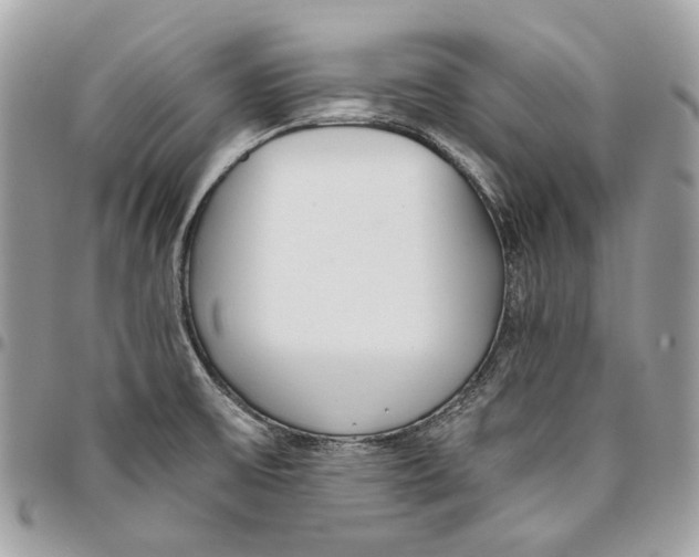 X0000096151475200802081400