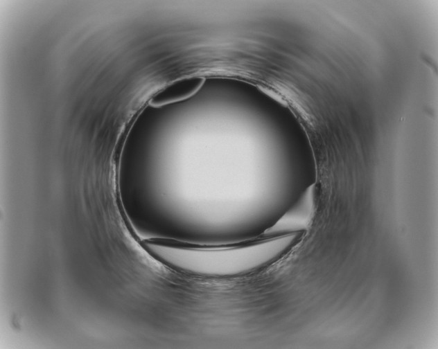 X0000096151476200802081400