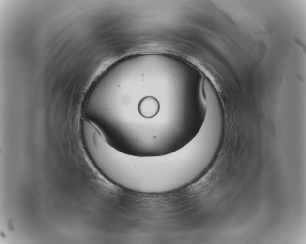 X0000096151477200802081400