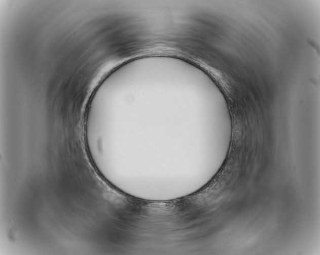 X0000096151478200802081400