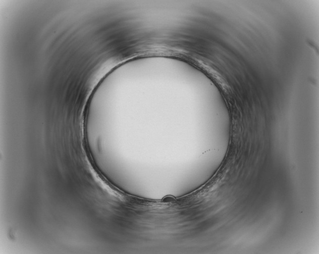 X0000096151479200802081400