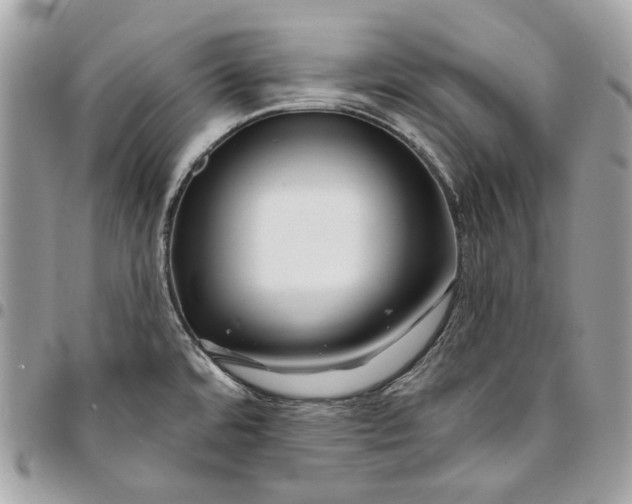 X0000096151480200802081400