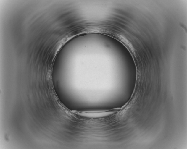 X0000096151481200802081400