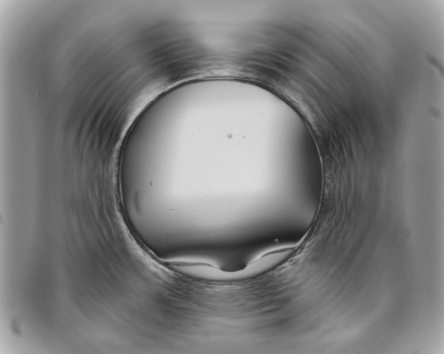 X0000096151483200802081400
