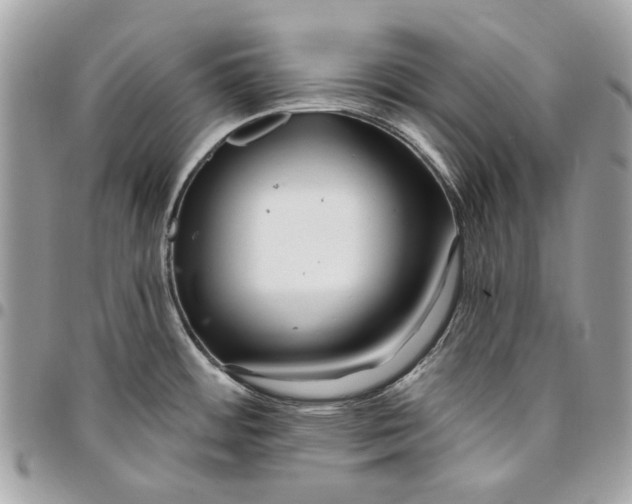 X0000096151484200802081400