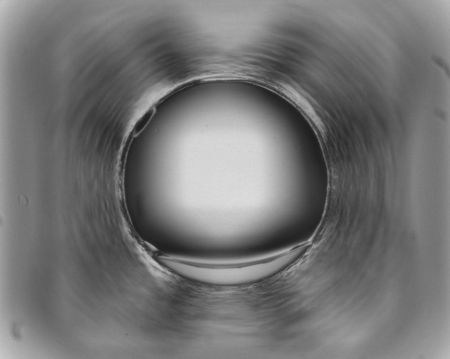 X0000096151485200802081400