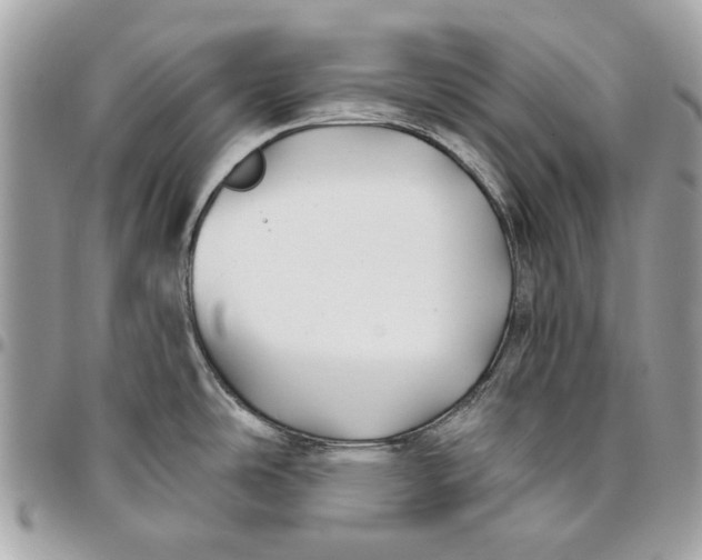 X0000096151486200802081400