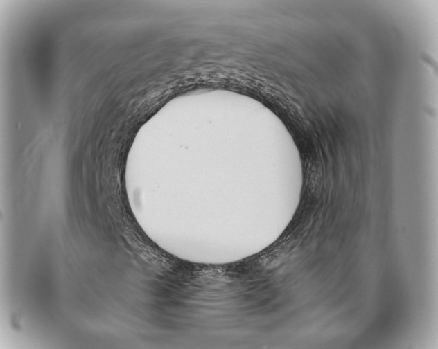 X0000096151489200802081359