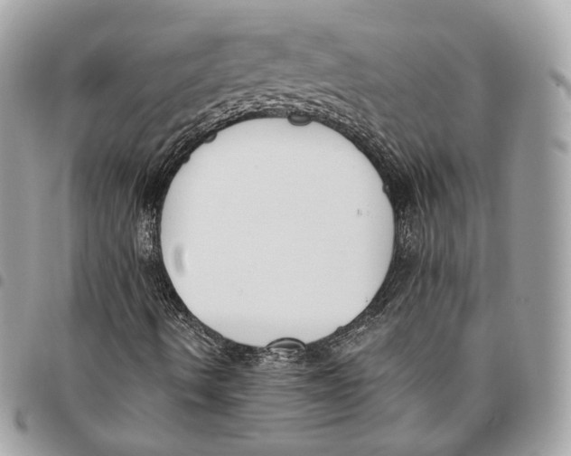X0000096151490200802081359