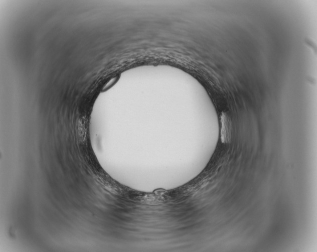 X0000096151491200802081359