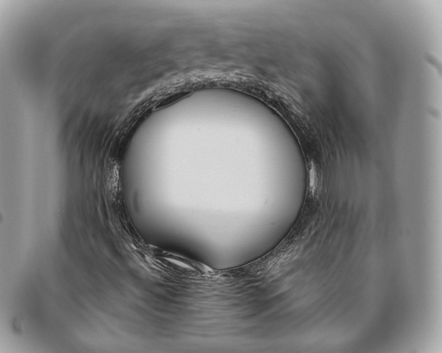 X0000096151492200802081359