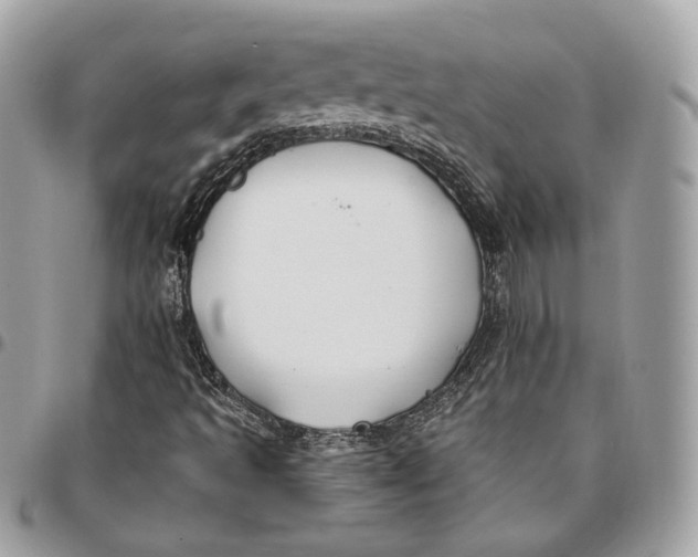 X0000096151493200802081359