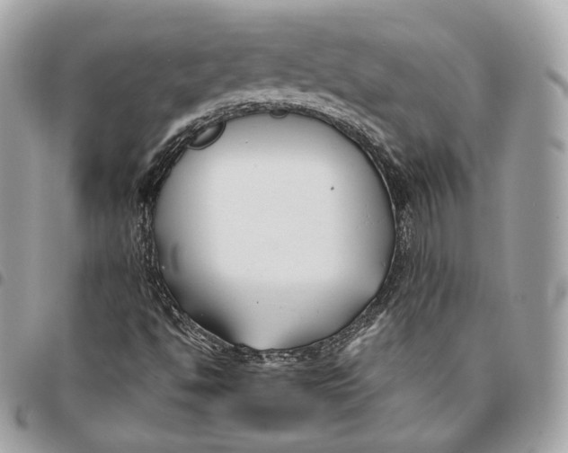 X0000096151494200802081359