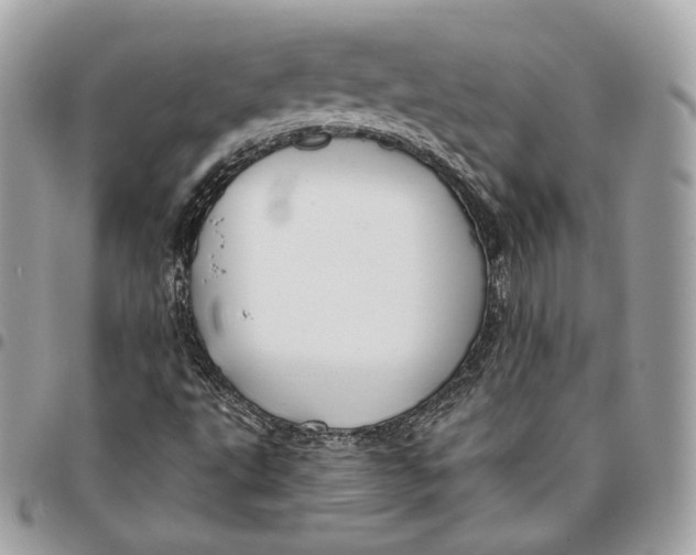 X0000096151495200802081359