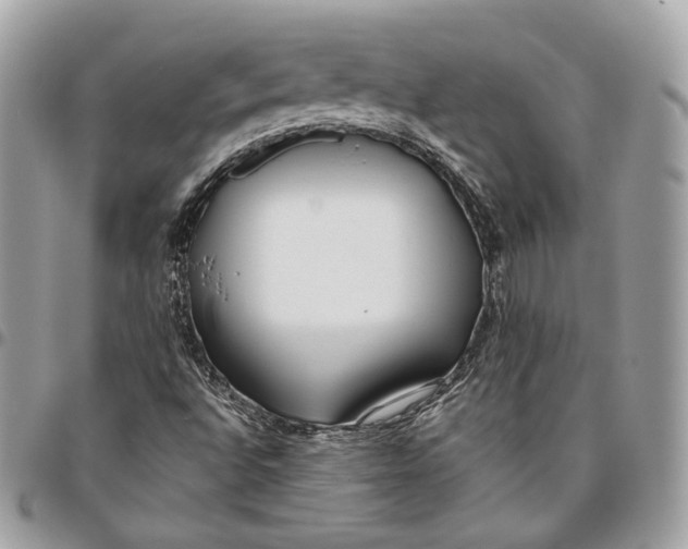X0000096151496200802081359