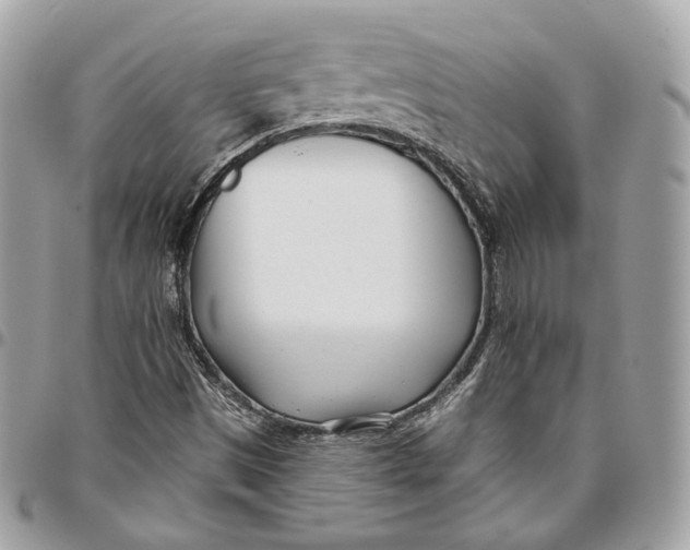 X0000096151497200802081359