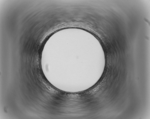 X0000096151498200802081359