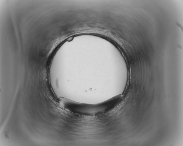 X0000096151501200802081359