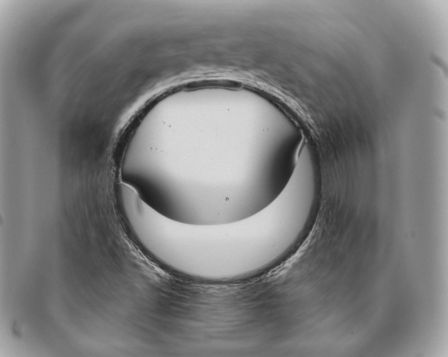 X0000096151502200802081359