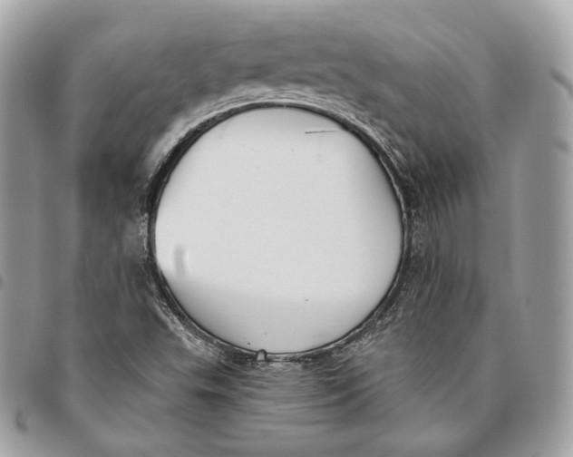 X0000096151503200802081359