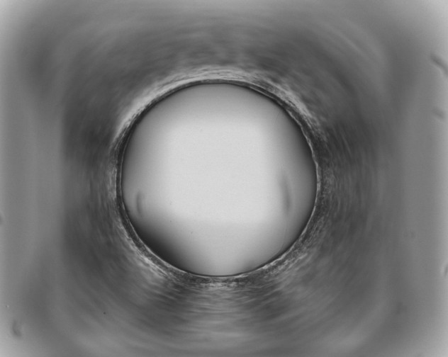X0000096151504200802081359