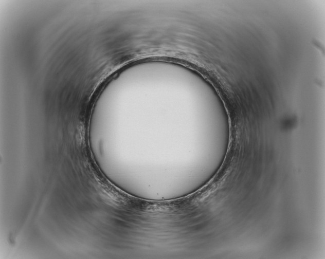 X0000096151505200802081359