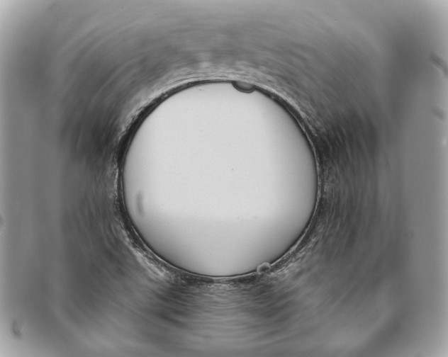 X0000096151507200802081359