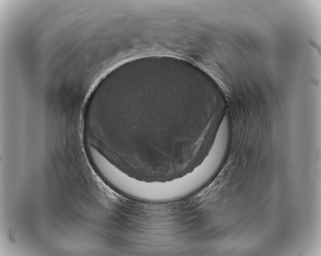 X0000096151508200802081359