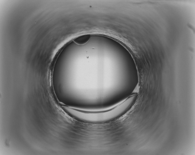 X0000096151510200802081359