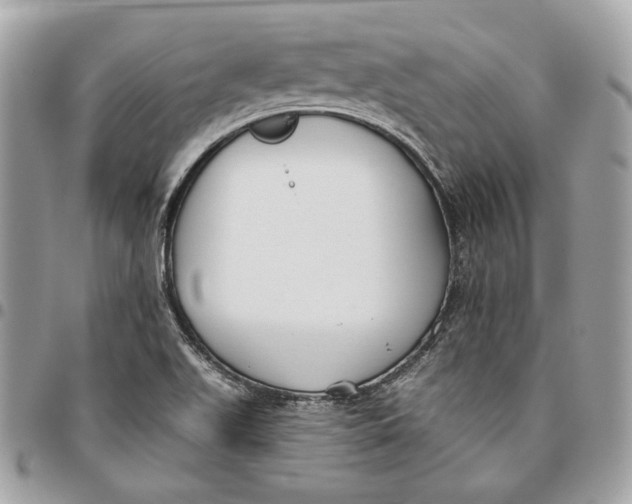 X0000096151511200802081359