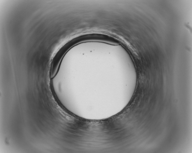 X0000096151512200802081359
