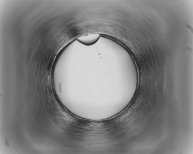 X0000096151513200802081359