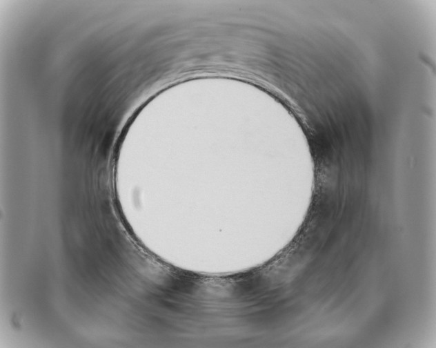 X0000096151514200802081359