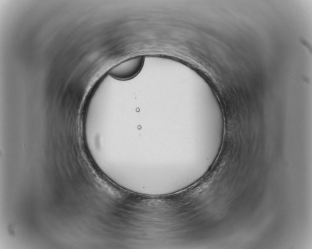 X0000096151517200802081359