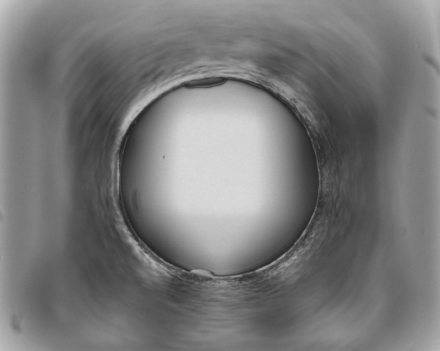 X0000096151520200802081359