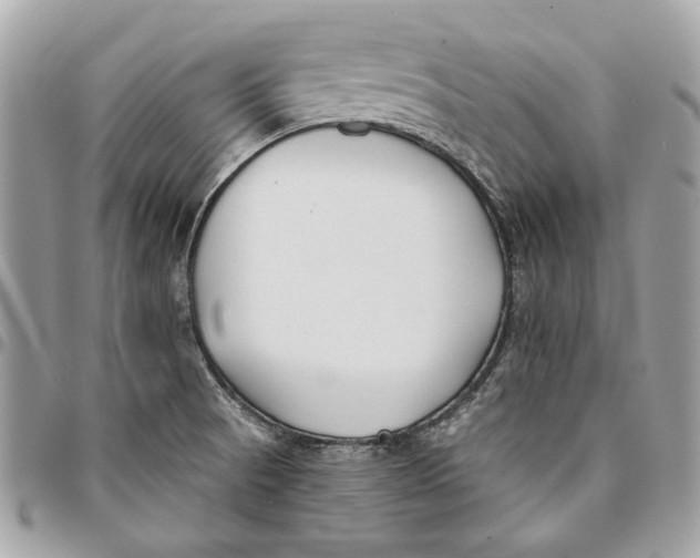 X0000096151521200802081359