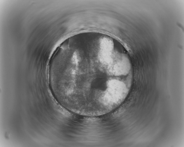 X0000096151522200802081359