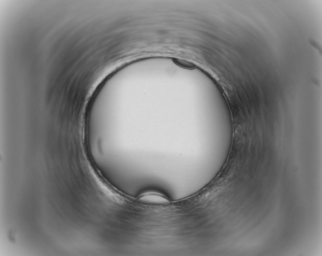 X0000096151523200802081359