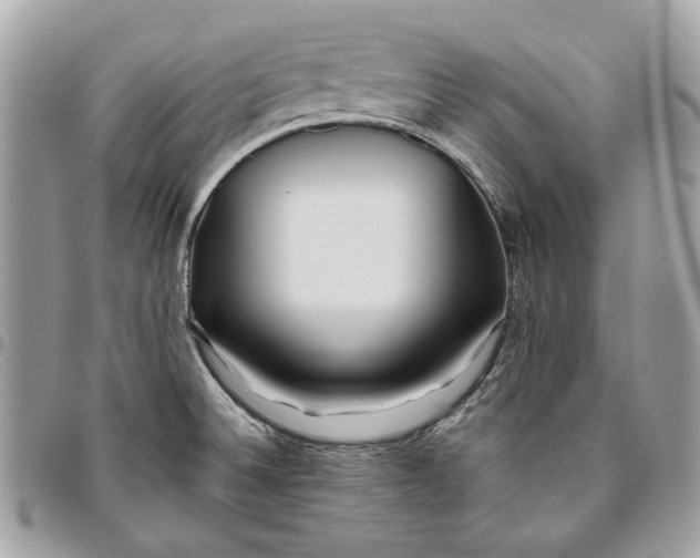 X0000096151524200802081359