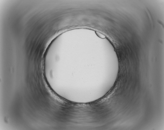 X0000096151526200802081359