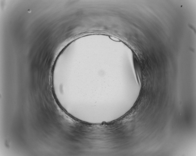 X0000096151527200802081359