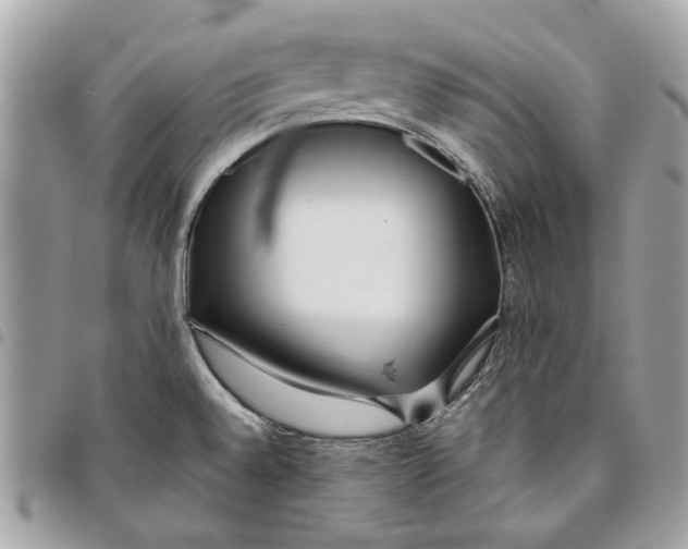 X0000096151528200802081359