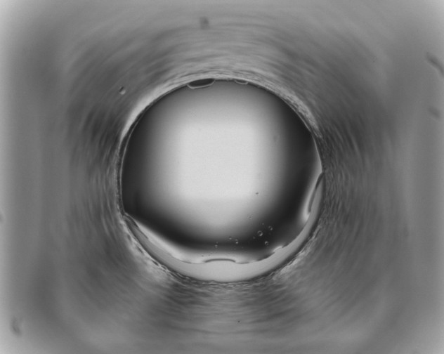 X0000096151530200802081400