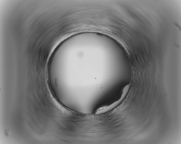 X0000096151531200802081400