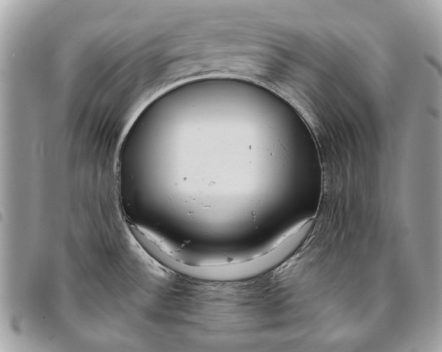 X0000096151532200802081400