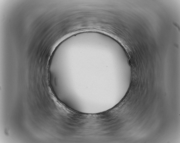 X0000096151534200802081400
