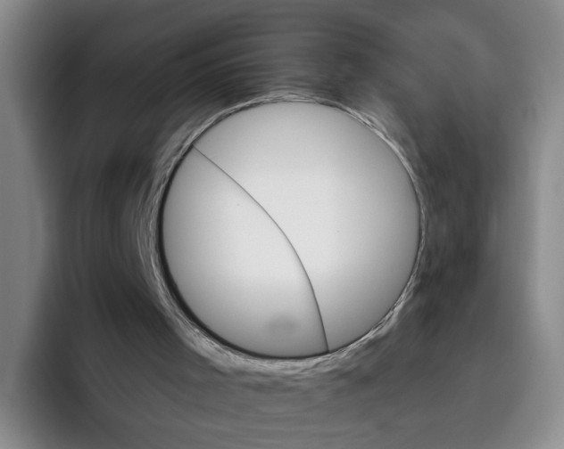 X0000096150001200802151404