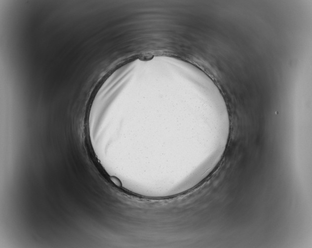 X0000096150002200802151404