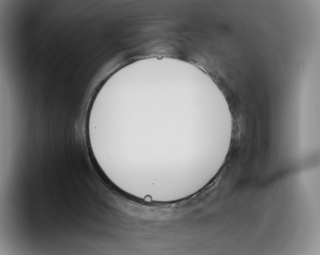 X0000096150004200802151404